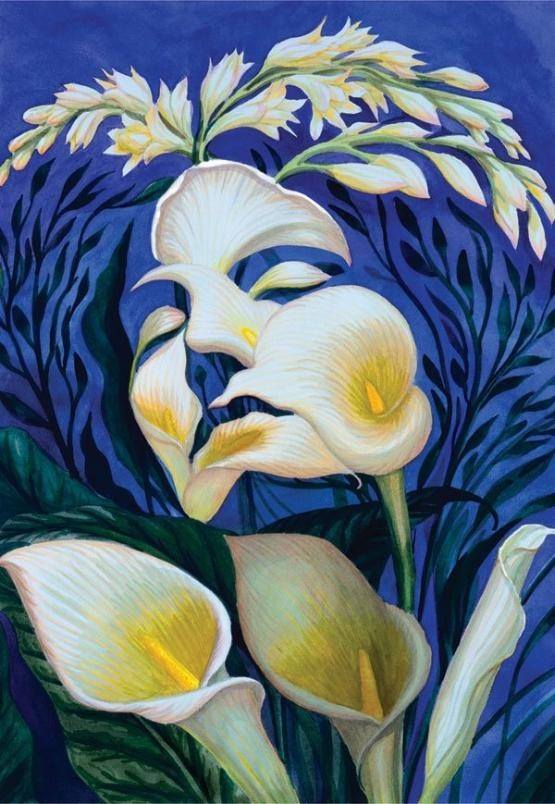 What do you see first? 